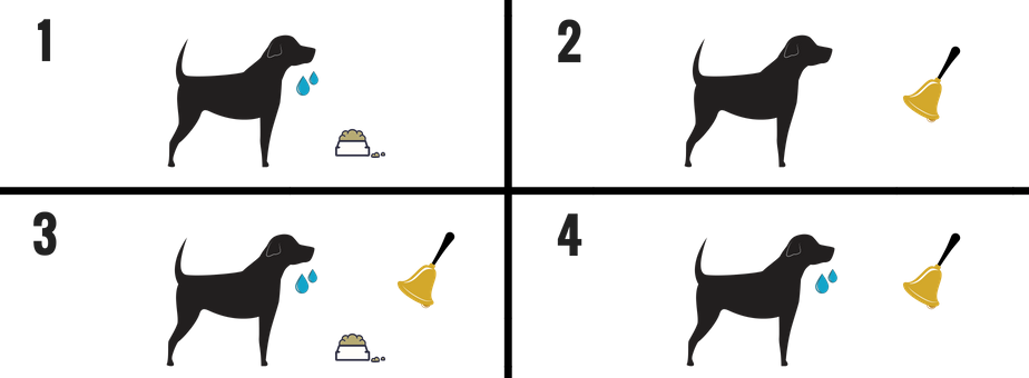 Pavlov's Hogs and Classical Conditioning in Gilt Training